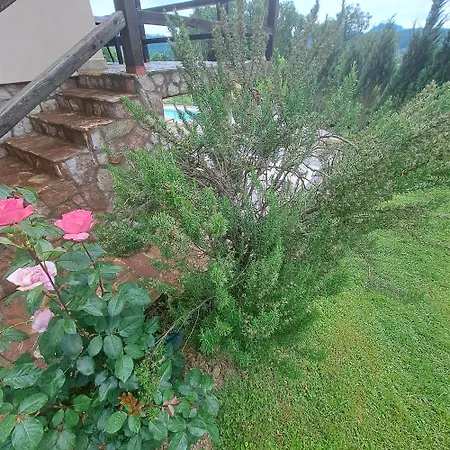 Ferienhaus Vikendica Nature Park *