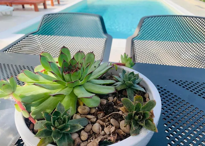 度假居 Vikendica Nature Park 巴尼西卢卡